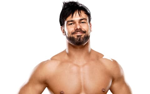 贾斯汀·加布里尔（Justin Gabriel）